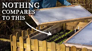 This Ancient Gardening Technique is Seriously Productive (& Low-Cost!)