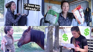 5 Stages of Horse Ownership (Funny 😂)