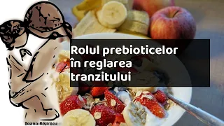 Rolul prebioticelor in reglarea tranzitului |