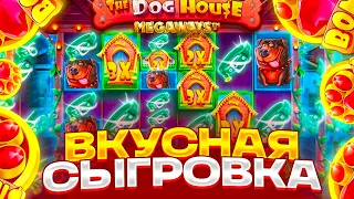 ЖЕСТКАЯ СЫГРОВКА В СПИНЕ НА ***Х В DOG HOUSE MEGAWAYS! БОНУСЫ В ДОГ ХАУСЕ МЕГАВЕЙС! ЗАНОСЫ НЕДЕЛИ