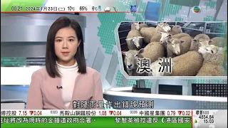 無綫TVB 0030晚間新聞｜澳洲畜牧業因天氣預測錯誤賤價賣羊 氣象局曾修訂未獲傳媒廣泛報道｜長榮機師醞釀農曆新年前後罷工爭取加薪 料影響長途線｜20240123 香港新聞 TVB News