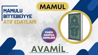 ATIF EDATLARI AVAMİL 14.DERS