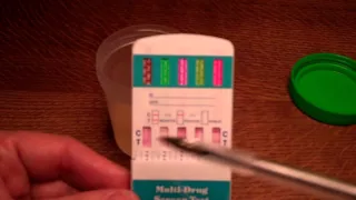 Conducting a 5 panel urine drug test. Guide to how it works and how to read the results