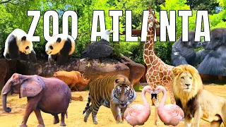 Exploring the beautiful ZOO ATLANTA | Travel | Kid-friendly |Family #travel #zoo #atlantasnow #kids