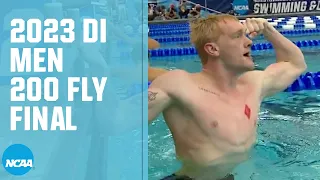 Men's 200 Butterfly | 2023 NCAA swimming championships