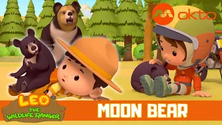 The MOON BEAR is distressed and NEED HELP! | Leo the Wildlife Ranger Spinoff S4E16 | @mediacorpokto