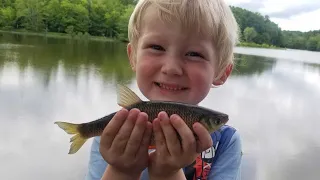 10 Species Fishing Challenge - Shiners, Bass, Catfish, Carp, Bluegill, Snakehead, Sunfish & More