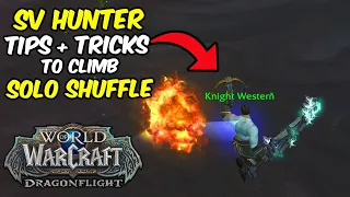 Survival Hunter: Use This to Climb Solo Shuffle 🧗🏹