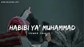 Habibi Ya Muhammad✨ (slowed reverb) Beautiful Nasheed Naat  l Lofi Version l Mind Relaxing Naat