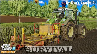 Survival in No Man's Land Ep.141🔹Sowing Grass & Planting Poplar. Mowing🔹Farming Simulator 22