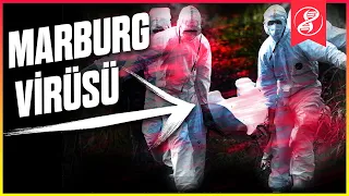 En Tehlikeli Virüs: Marburg!