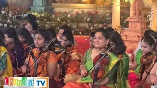 Beautiful Heart Melting telugu / Hindi Songs on the #Violin music by Legends  2022 | ms world vlog