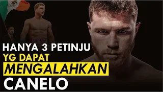 Inilah 3 Petinju yang Mampu Mengalahkan Canelo Alvares !!!