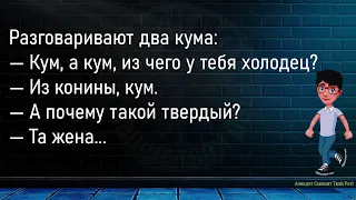 💎Мужик Купил На Ярмарке Двух Гусей...Большой Сборник Смешных Анекдотов,Для Супер Настроения!