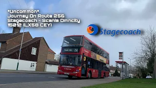 *UNCOMMON* Journey On Route 256 | Stagecoach | Scania Omncity - 15012 (LX58 CEY)