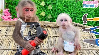 Smart BiBi helps dad take care and build a house for baby monkey Obi