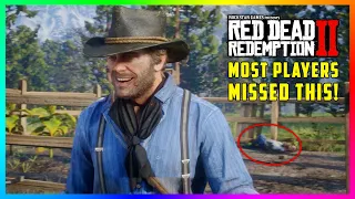 Most Players Missed This Tiny Detail About Arthur's Sickness & TB In Red Red Dead Redemption 2!