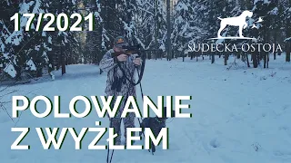 Sudecka Ostoja 17/2021. Polowanie na jeleni, daniele i dziki z podchodu z wyżłem u boku.