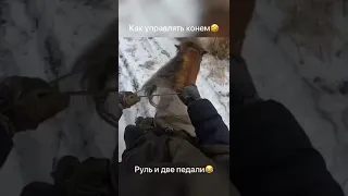 Конь, как машина😂