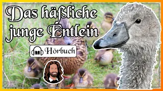 Hörbuch Märchen zum Einschlafen "Das häßliche junge Entlein" von Hans Christian Andersen