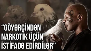 Bakıdan Mayk Taysona göyərçin hədiyyəsi - ARZUNUN VAXTI