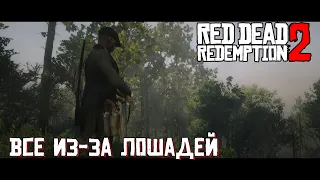 Все из-за лошадей [Red Dead Online]