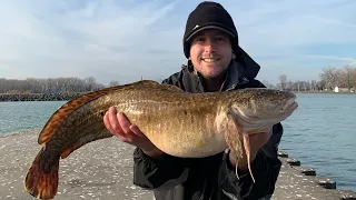 Catching a RARE Fish (BURBOT) in LAKE ERIE (Catch and Cook) (EELPOUT)