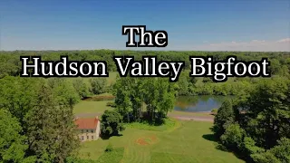 The Hudson Valley Bigfoot