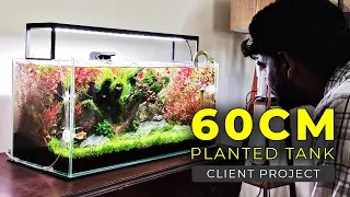 60CM Planted Aquarium | Planted Tank Setup in Tamil | Client Project | Amudh Aquascapes