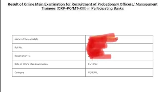 My scorecard of IBPS PO mains 2023-24