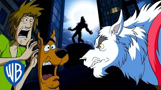 Scooby-Doo! | WEREWOLVES! 🐺 | WB Kids