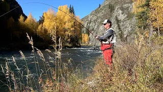 Рыбалка мечты - хариус на каждом забросе/Котлеты из ускуча/Средство обороны от медведя/Рыбалка ВКО