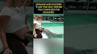 Humans and dolphin have Sex for pleasure 😍 || #viral #youtubeshorts #shortvideo #shorts