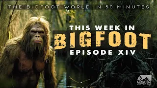 This Week in Bigfoot-(S1,E14) FULL EPISODE