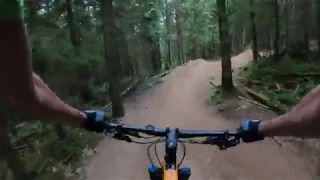 Unemployment Line, Galbraith Mountain Bike Trails, Bellingham, WA, June 2019