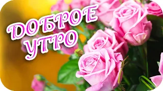 Доброе утро! 🌸 С добрым утром, мои друзья! 🌸 Прекрасного вам настроения! 🌸 Good morning!