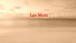 Mylène Farmer  &  Seal  -  Les Mots  (Paroles)