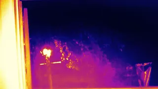 Bigfoot caught on tape 100%  Real in thermal imaging