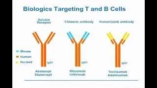 Rheumatoid Arthritis: T-Cell and B-Cell Targeting Agents - Ep. 11