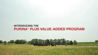 Purina® Plus Value Added Program Drives Producer Success