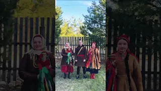 Масниця feat Колодій
