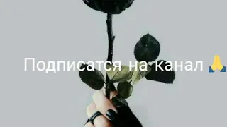 Мурат Гамидов ft Магамед Халилов- Чёрная роза. Подписатся на канал.