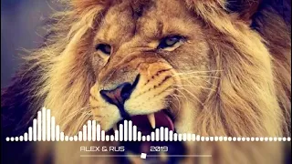 ||ALEX & RUS ДИКАЯ ЛЬВИЦА Music version HD mp4 song🎶👿|| like and subscribe karo bhai..