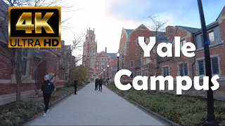 Yale University | 4K Campus Walking Tour
