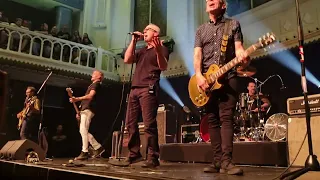 Bad Religion - Modern man (Live in Amsterdam 2022)