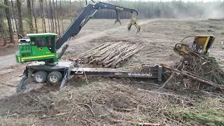 Carolina logging | Cutting pine in Bennetsville, SC