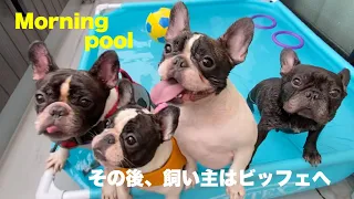 French Bulldogs swimming. モーニングプール&帝国ホテルランチビッフェ フレンチブルドッグ 【French bulldog】