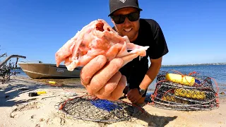 24 HOUR - No Food Challenge - SOLO CAMPING - CATCH AND COOK in Perth city