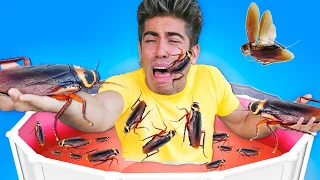 WE GET INTO A POOL FULL OF COCKROACHES!!