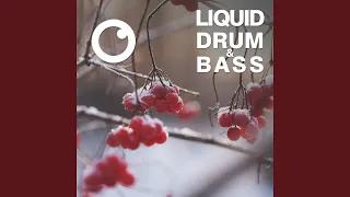 Liquid Drum & Bass Sessions 2020 Vol 17 (The Mix)